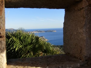 IMG_3717 (Medium)